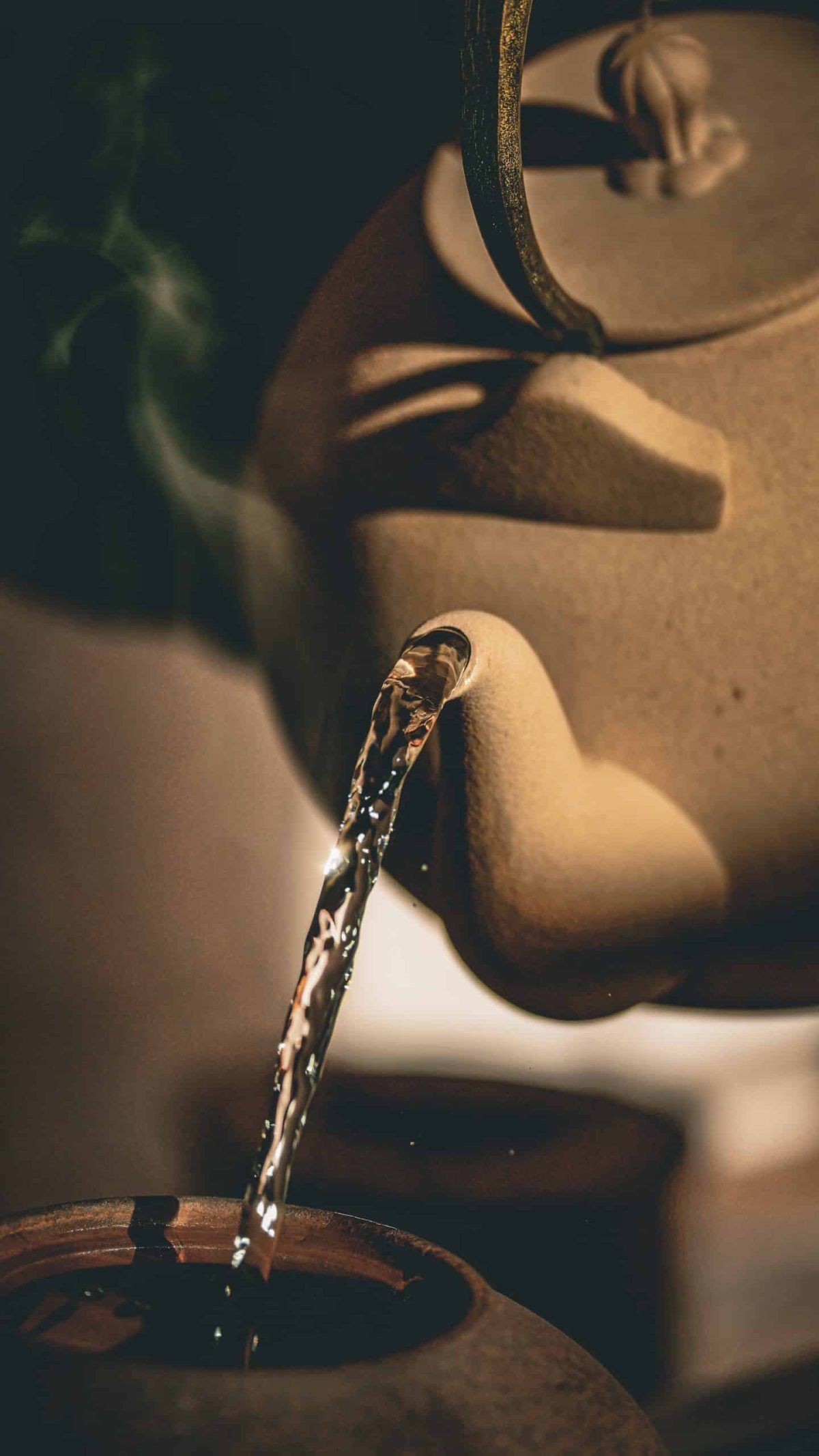 Cha Dao Tea Ceremony · April 18 - Image 11