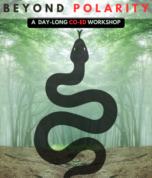 Beyond Polarity Co-ed Workshop